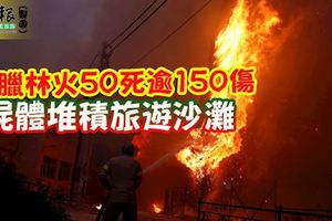 希臘林火50死逾150傷•屍體堆積旅遊沙灘