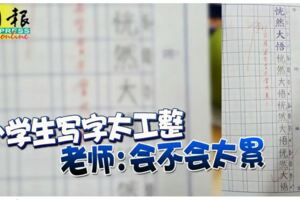 小學生寫字太工整，老師：會不會太累
