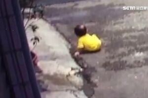 1歲嬰馬路亂爬 家長竟回：大驚小怪