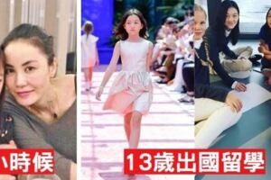 一年學費破300萬！王菲女兒「13歲留學瑞士名校」　生活照曝光「頂級豪奢寢室」網看傻：有錢真好