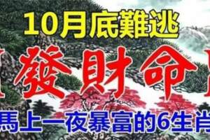 10月底難逃發財命，註定一夜暴富的生肖