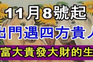 11月8號起出門遇四方貴人，大富大貴發大財的生肖