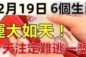 12月19日運大如天，今天難逃一獎，雙手雙腳都數錢的生肖