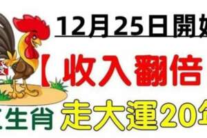 12月25號開始收入翻倍，五生肖走大運20年