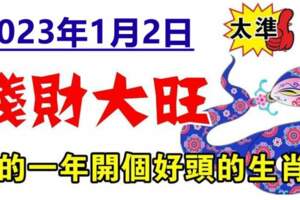 2023年1月2日錢財大旺，新的一年開個好頭的生肖