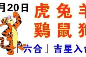 1月20日生肖運勢_虎、兔、羊大吉