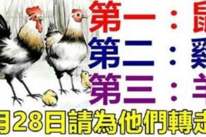 （鼠，雞，羊）5月28日請為他們轉走