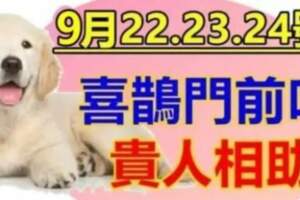 貴人相助！9月22.23.24號：喜鵲門前叫的生肖！