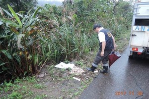 約300隻狗疑遭煮食棄骨山區 賞10萬元緝凶 