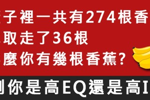 【90％答不出來】測你是高EQ還是高IQ？