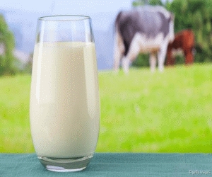 牛奶.JPG