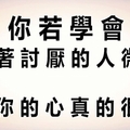  你若學會對著討厭的人微笑，那你的心真的很大！ 