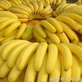 看上去很新鮮的香蕉，再便宜也不要買！不要再上當了！！