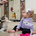 失去一條腿的小貓被收養後，被家裡失去左臂的小女孩給震懾到了..