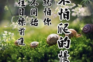 教你如何戰勝敗運走出困難