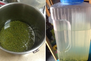 網友公開「親身試驗證明超有效」的抗痘綠豆水製作方法，滿臉爛痘的人喝完臉都滑死了！
