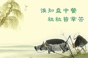 請吃乾淨自己碗裡的飯菜,原來這是福報