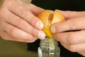 往瓶子裡面打入雞蛋，隨後讓家人都停不下筷子