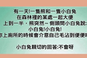 熊和小白兔一起上廁所