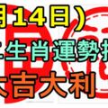 2017年6月14日十二生肖運勢指導！大吉大吉！