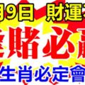 11月9日開始，財運不斷，逢賭必贏的6大生肖！