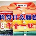 12生肖穿什麼顏色衣服，2018年會一旺到底~