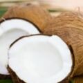 趣味測試：選出你認為最堅硬的椰子，測你外表強大還是內心強大？