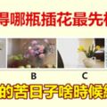 你覺得哪瓶插花最先枯萎？測你的苦日子啥時候結束？