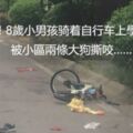 痛心！8歲小男孩騎著自行車上學路上，被小區兩條大狗撕咬……