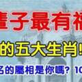 一輩子最有福氣的五大生肖，有你嗎？真的準!