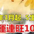 鼠年3月起「大吉大利」好運連旺10年的5個生肖