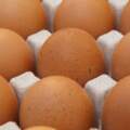 吃雞蛋的5種方法，純粹就是跟健康過不去！對照自己，是否有犯過