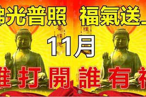 11月你好，佛光普照，福氣送上，誰打開誰有福！