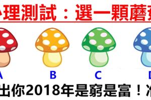 心理測試：4顆蘑菇選一顆，測出你2018年是窮是富！