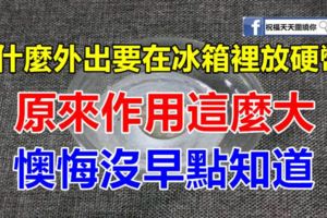 為什麼外出要在冰箱裡放硬幣？原來作用這麼大，懊悔沒早點知道