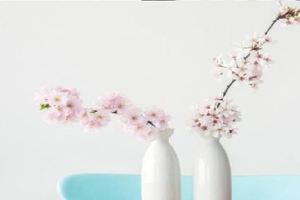 12星座最容易一見鍾情組合，最容易被誰帶壞，最不會拒絕人的星座