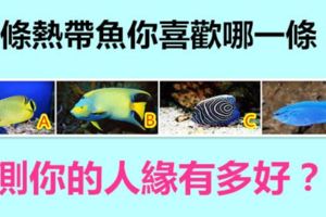 4條熱帶魚你喜歡哪一條？測你的人緣有多好？