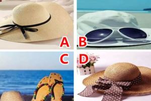 如果去海邊玩，你會戴哪個帽子？測8月的你是否有好運