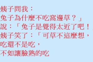 小姨子問姐夫：「兔子為什麼不吃窩邊草？」