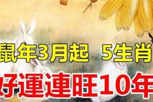 鼠年3月起「大吉大利」好運連旺10年的5個生肖