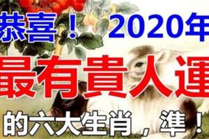 2020年最有「貴人運」的六大生肖，你在其中嗎？