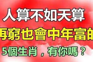 一到中年就暴富！大器晚成「財運亨通」，越老越富貴的5個生肖