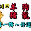 6月24日，生肖羊、狗、虎、豬、龍、猴！轉一轉。好運來！