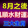 8月之後順風順水財運出色的生肖