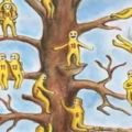 一則來自英國的心理測試：樹上有21個小黃人，選你最想待的位置！太準了！