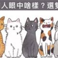 五隻貓選一隻，測出你在別人眼中的形象！