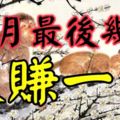 11月最後幾天，將會大賺一筆的5個生肖！