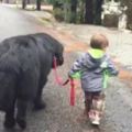2歲男孩牽著大黑狗，搖頭晃腦，看到第4張後笑噴了！