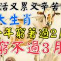 生活又累又辛苦的四大生肖，今年窮著過2月，窮不過3月