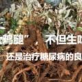 農村地下埋著的「大雞腿」，不但生吃美味，還是治療糖尿病的良藥